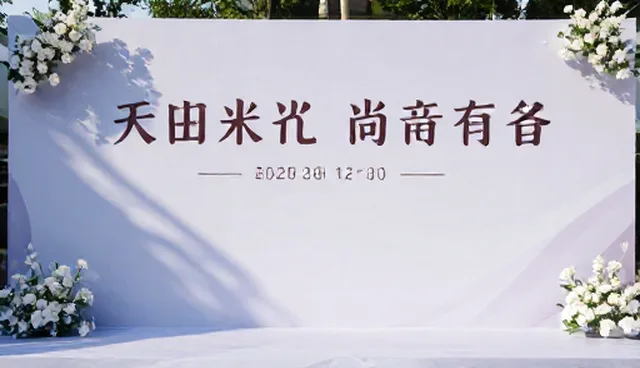 新媒体运营中活动策划的常见问题与处理方法